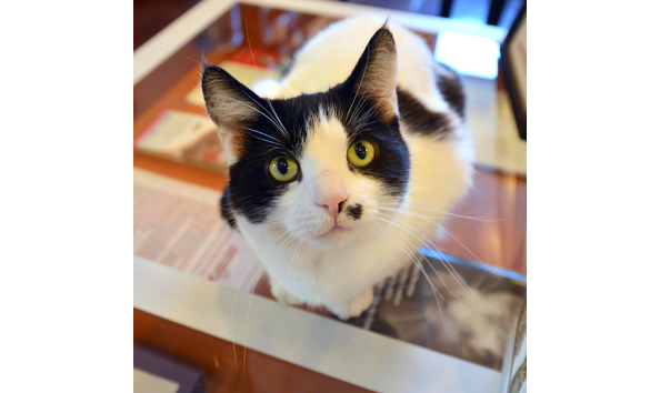 Big image big image 38870729 10155957860773277 6427152502419881984 o