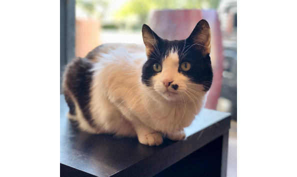 Big image big image 35429358 10155844944268277 2958669267882475520 o