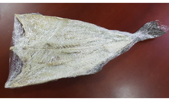 Big image 20191010 192104