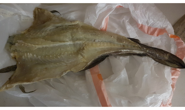 Big image 20191010 192616