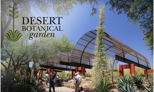 Big image desert botanical garden 700x420