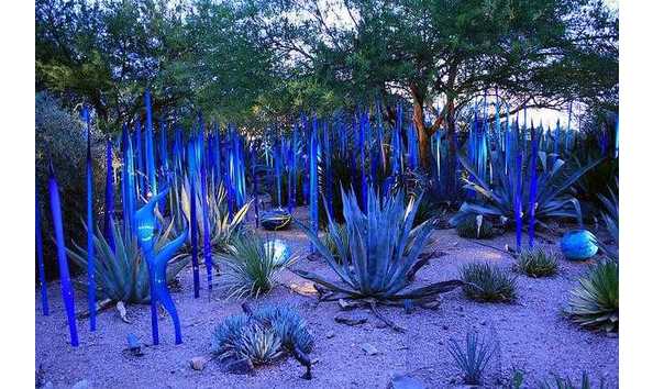 Big image desert botanical garden phoenix az 3b6c4955b7df4933ae5d998950939332 c