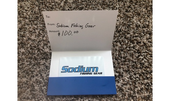 Big image auction sodium