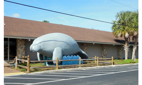 Big image wild life park 2 of 3