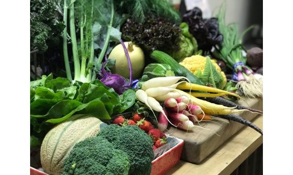 Big image img 5175.jpg 768x576