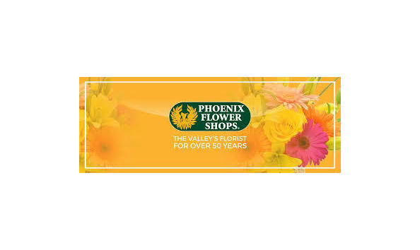 Big image download  1 