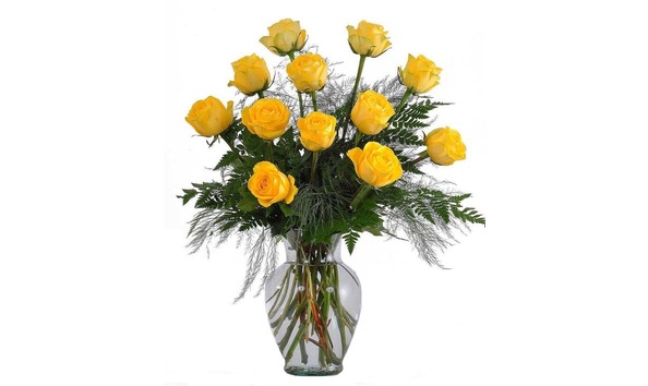 Big image 300415 19040842437