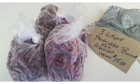 Big image 20191015 115118