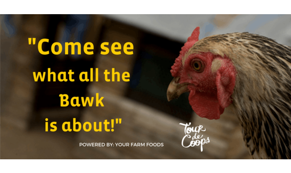 Big image tourdecoops