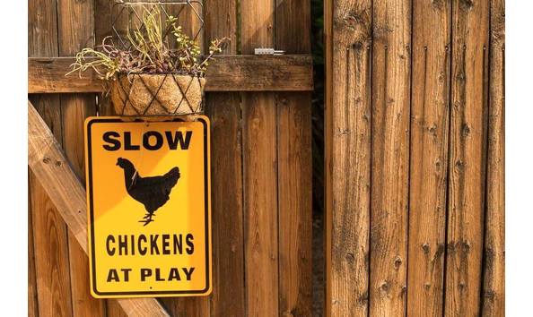 Big image 1400480 10151691891386537 1345639987 o