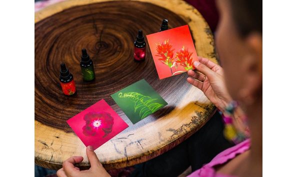 Big image 69715382 10156822594103768 1190278945463861248 o