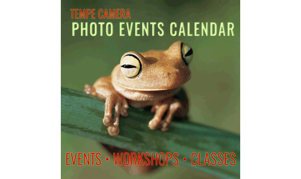 Big image event frog