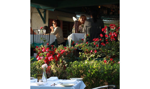 Big image 9 blooming bar web 400x400