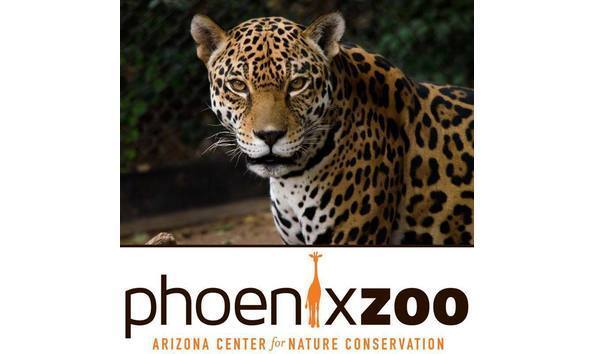 Big image big image 32675356 10156288532429707 3777329333450833920 n