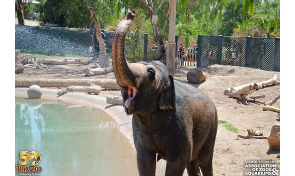 Big image phoenix zoo animals 10