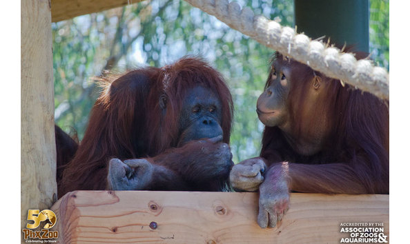 Big image phoenix zoo animals 13