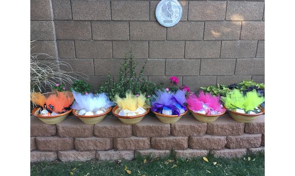 Big image 15578260 1846446048960302 8692947274865719069 o