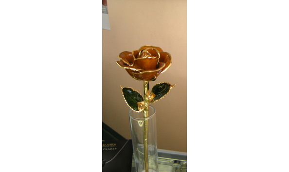 Big image dscn1061 001