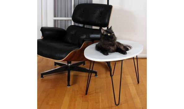 Big image 55117 primetimepetz nestegg white lifestyle2 sq 540x