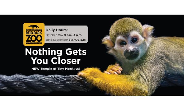 Big image reidparkzoo