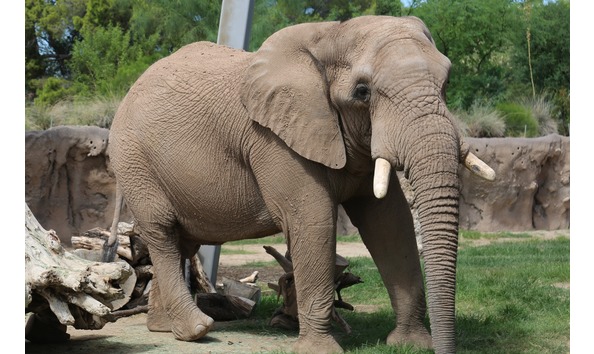 Big image reidparkele