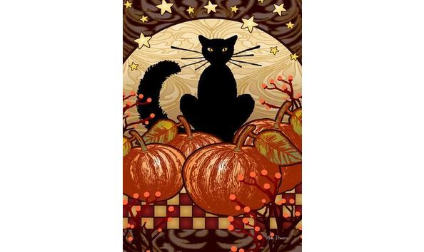 Big image moonlight cat