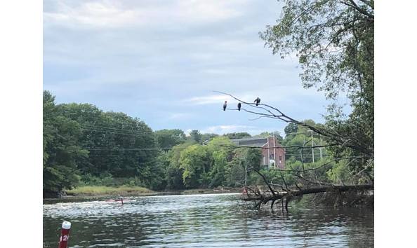 Big image great bay rowing 2