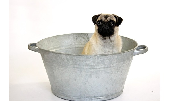 Big image no person 3201739 960 720