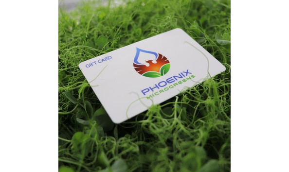 Big image phoenix microgreens giftcard image3