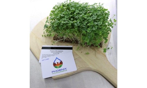 Big image phoenix microgreens giftcard image4