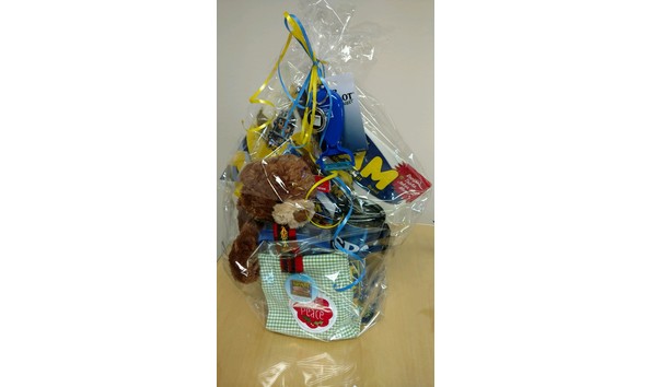 Big image spam basket