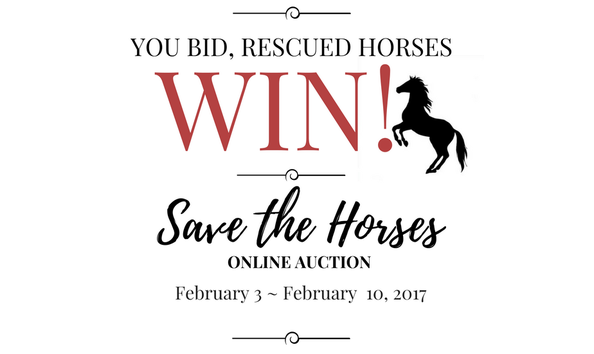 Organization Main Image