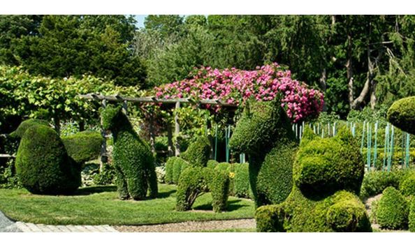 Big image newport   green animals