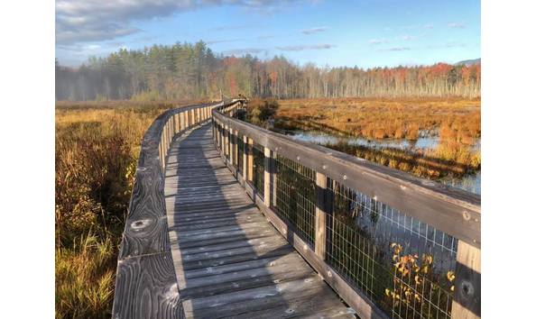 Big image nh audubon 2