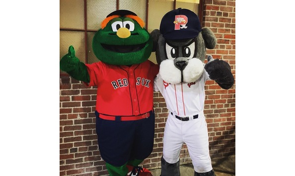 Big image portland sea dogs 2