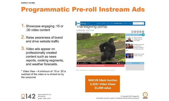 Big image macvb silent auction 1.10.17