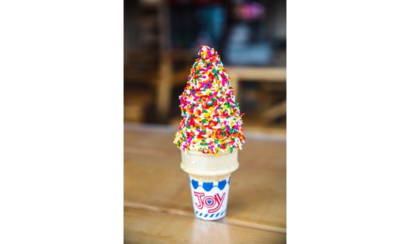 Big image beach plum 5