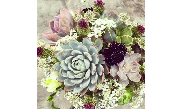 Big image sweet meadows 2