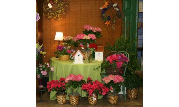 Big image sweet meadows 4