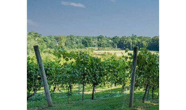 Big image flag hill 1