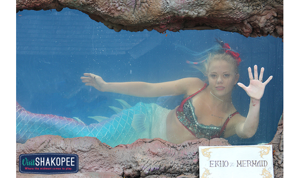 Big image minnesota renaissance festival macvb auction