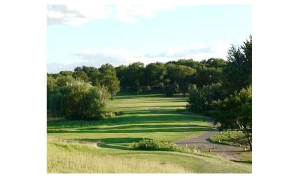 Big image majestic oaks signature