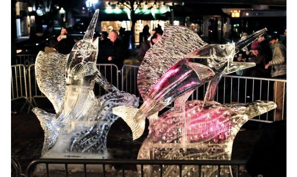 Big image pro portsmouth 2