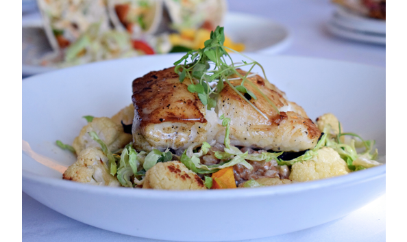 Big image copper door 2