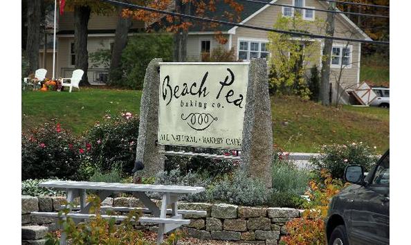 Big image beach pea 2