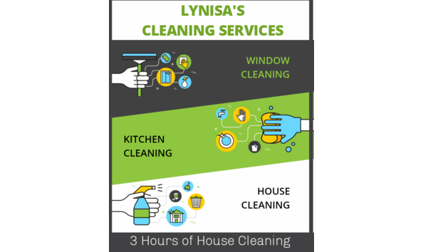 Big image lynisa cleaning