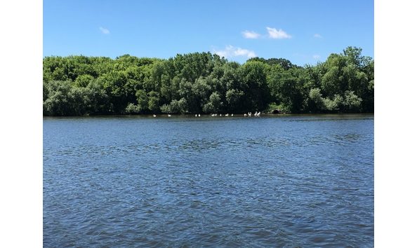 Big image lake albert lea