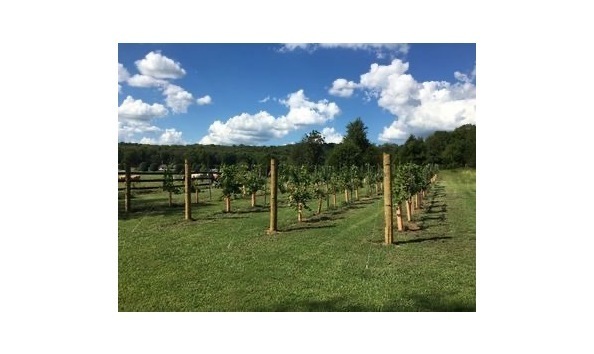 Big image big image traveler s cellar winery