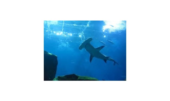 Big image mini magick20191105 128336 rcx9o7