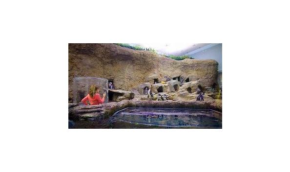 Big image mini magick20191105 128336 meli5j